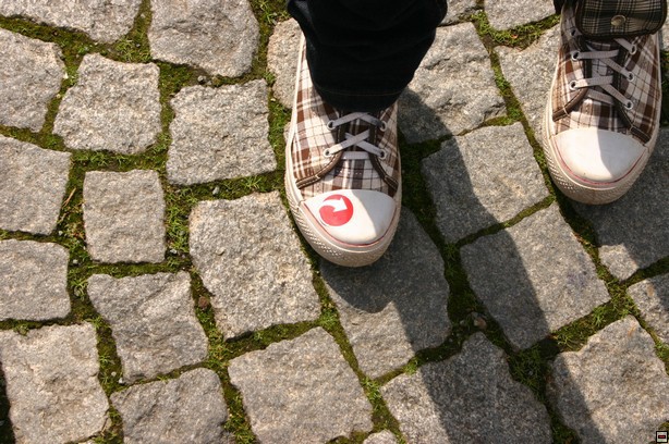 img00050.jpg