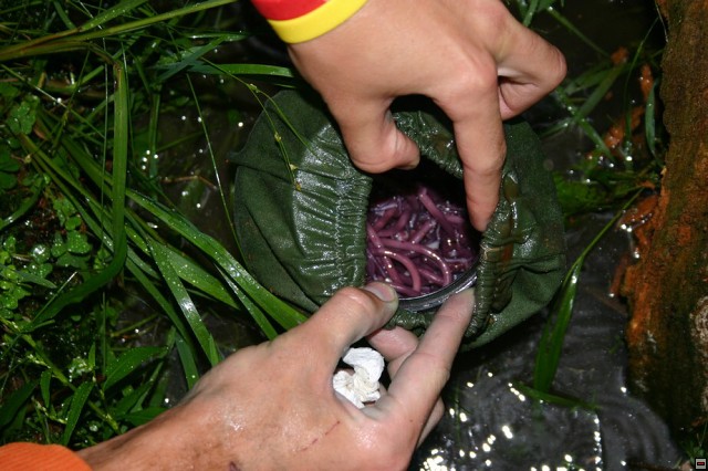 img00071.jpg
