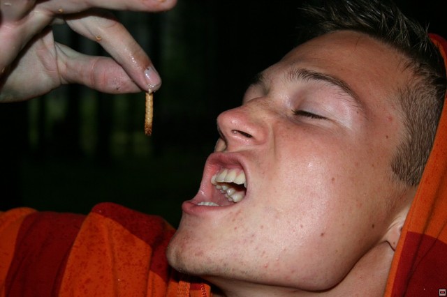 img00073.jpg