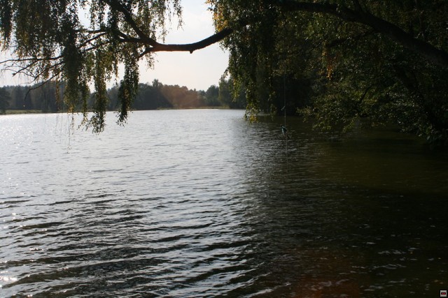 img00015.jpg