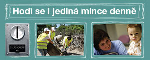 Mince denn